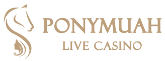 PM百家真人娛樂|視訊真人 15 PM百家真人